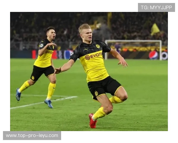 哈兰德与传控体系的适配性分析