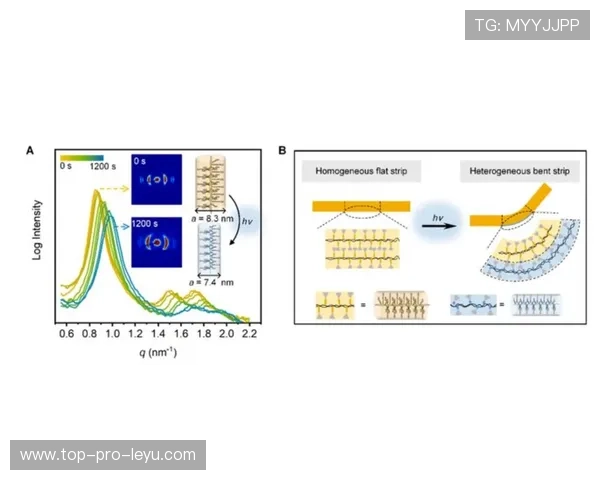 反常识型：扩大身体面积算犯规吗？足球规则里的边界你知道多少？
