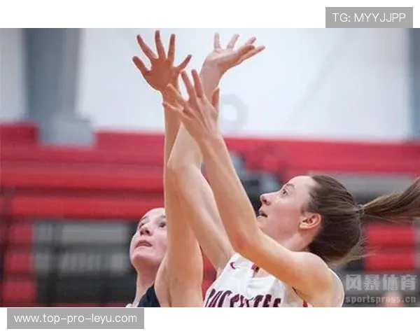 打手犯规的规则判定标准与界定说明
